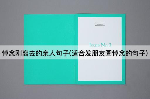 悼念刚离去的亲人句子(适合发朋友圈悼念的句子)