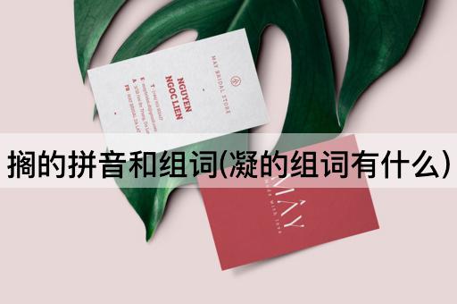 搁的拼音和组词(凝的组词有什么)
