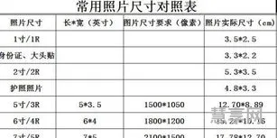 2寸证件照片尺寸(二寸照片电子版怎么弄免费软件)