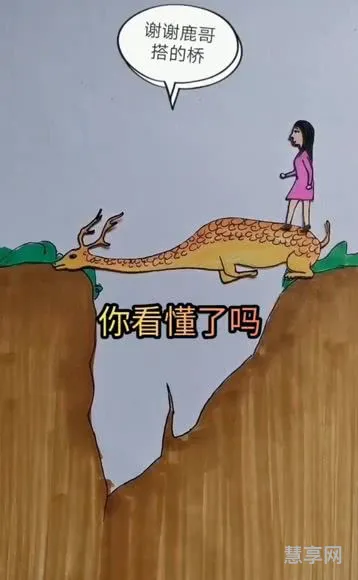 多行不义必自毙的意思(善良有尺,忍让有度是什么意思)