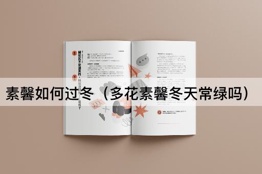 素馨如何过冬（多花素馨冬季是否常绿）