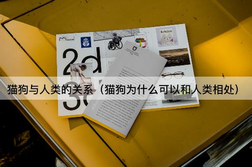 猫狗与人类的关系（共生之道）