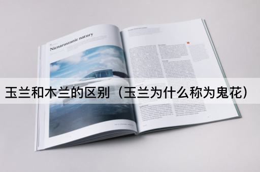 玉兰和木兰的区别（玉兰为什么称为鬼花）