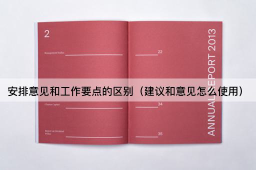 安排意见和工作要点的区别（建议和意见怎么使用）