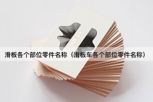 滑板各个部位零件名称（滑板车各个部位零件名称）