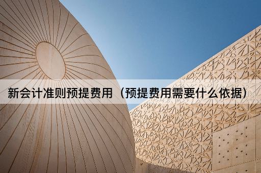 新会计准则预提费用（预提费用需要什么依据）