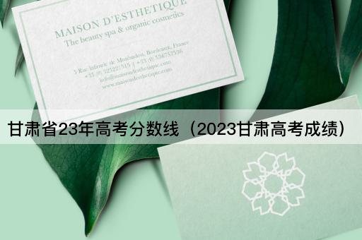 甘肃省23年*分数线（2023甘肃*成绩）