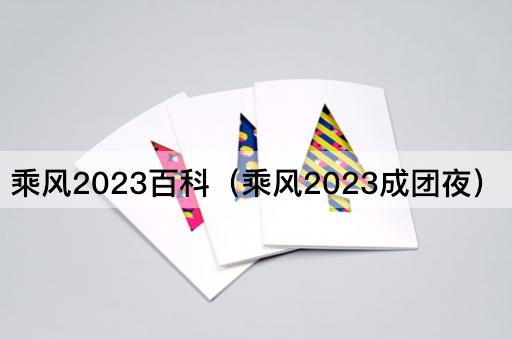 乘风2023百科（乘风2023成团夜）