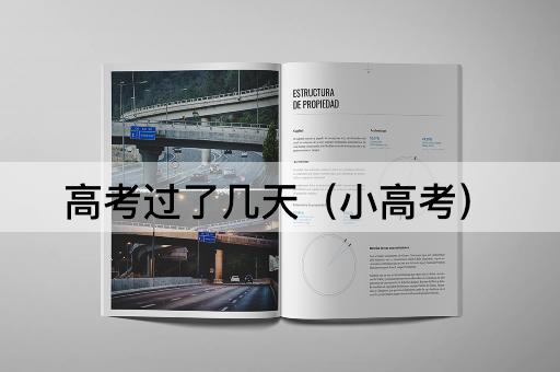 *过了几天（小*）
