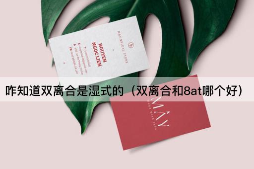 咋知道双离合是湿式的（双离合和8at哪个好）