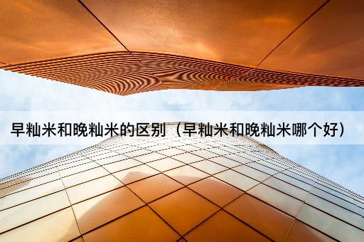 早籼米和晚籼米的区别（早籼米和晚籼米哪个好）