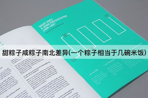 甜粽子咸粽子南北差异(一个粽子相当于几碗米饭)