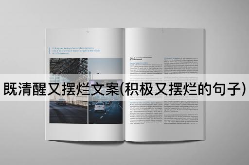 既清醒又摆烂文案(积极又摆烂的句子)