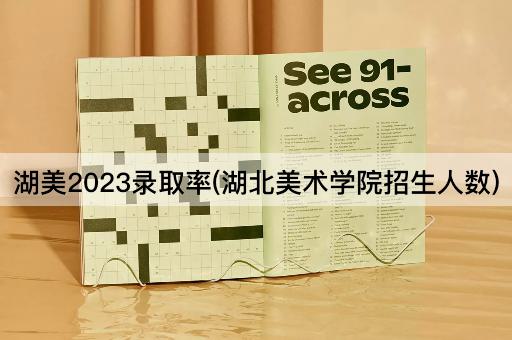 湖美2023录取率(湖北美术学院招生人数)
