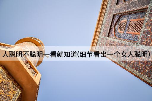 人聪明不聪明一看就知道(细节看出一个女人聪明)