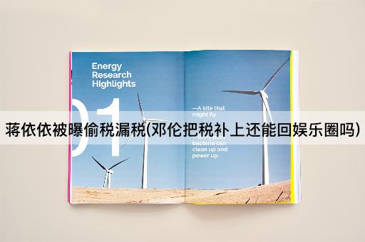 蒋依依被曝偷税漏税(邓伦把税补上还能回娱乐圈吗)