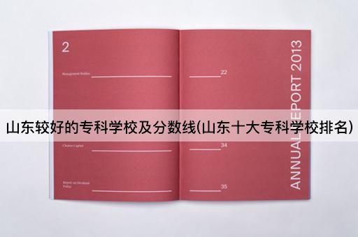 山东较好的专科学校及分数线(山东十大专科学校排名)