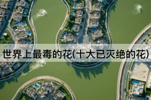世界上最毒的花(十大已灭绝的花)