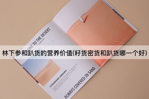 林下参和趴货的营养价值(籽货密货和趴货哪一个好)