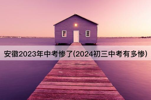 安徽2023年中考惨了(2024初三中考有多惨)