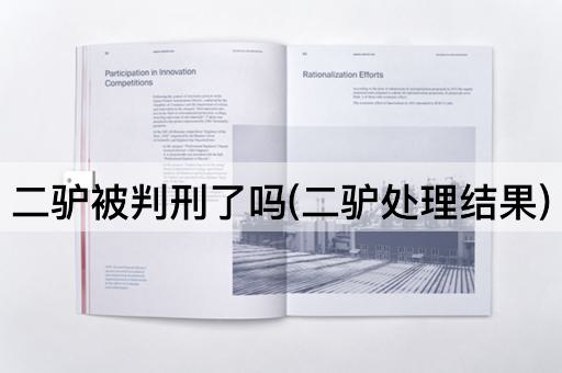 二驴被判刑了吗(二驴处理结果)