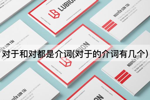 对于和对都是介词(对于的介词有几个)