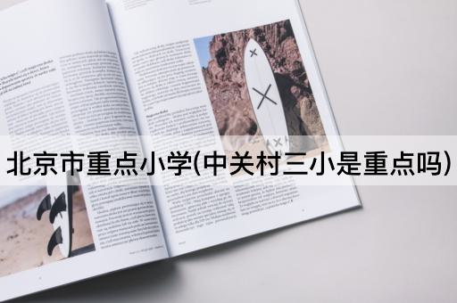 *市重点小学(中关村三小是重点吗)