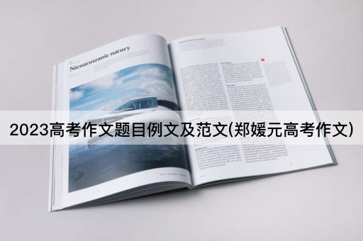 2023高考作文题目例文及范文(郑媛元高考作文)