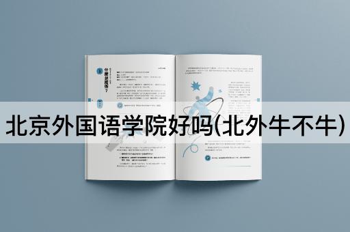 *外国语学院好吗(北外牛不牛)