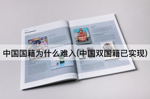 中国国籍为什么难入(中国双国籍已实现)