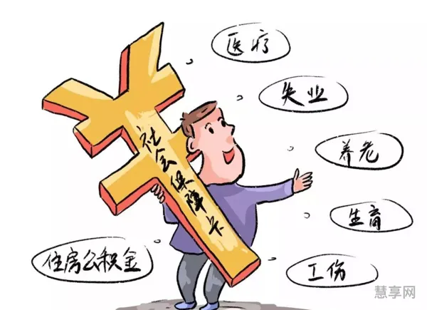 龙岩2023年社保缴费(2023年养老缴费明细表)