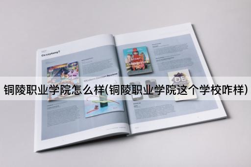 铜陵职业学院怎么样(铜陵职业学院这个学校咋样)