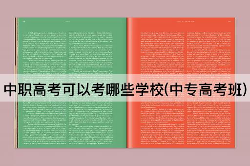 中职高考可以考哪些学校(中专高考班)