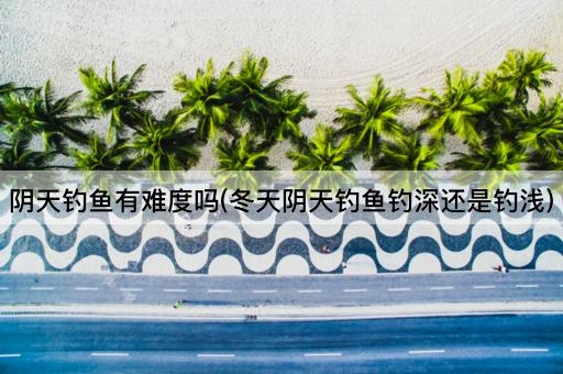 阴天钓鱼有难度吗(冬天阴天钓鱼钓深还是钓浅)