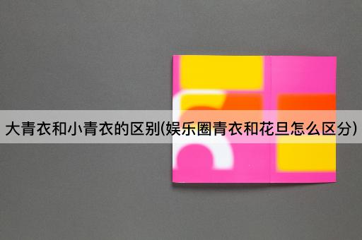 大青衣和小青衣的区别(娱乐圈青衣和花旦怎么区分)