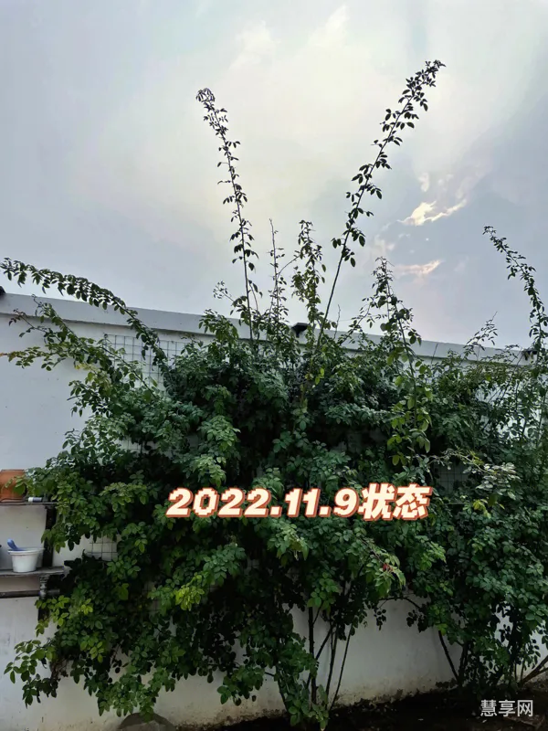 2022年春天是几月到几月(2022年春季时间)