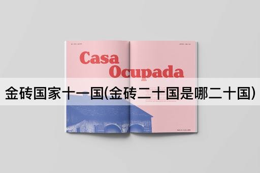 金砖国家十一国(金砖二十国是哪二十国)