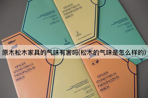 原木松木家具的气味有害吗(松木的气味是怎么样的)