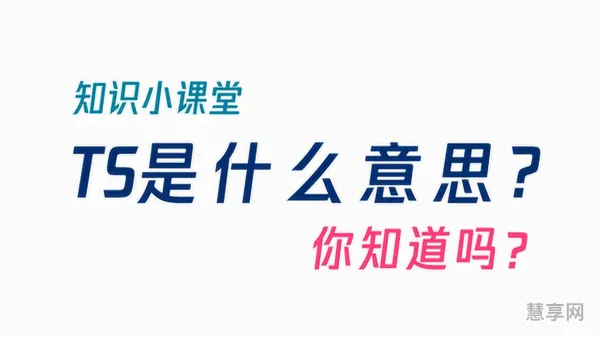 s是什么意思解释一下(英文缩写TS的意思)