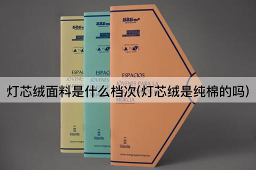 灯芯绒面料是什么档次(灯芯绒是纯棉的吗)