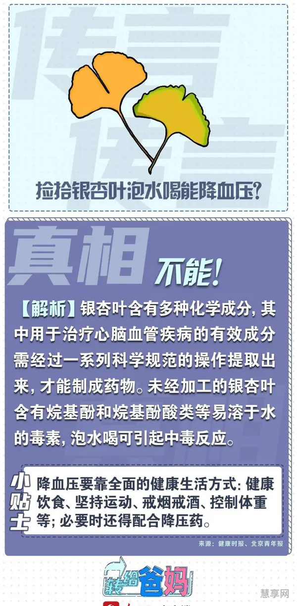 喝银杏叶能降血压吗(高血压血糖高喝什么茶最好)