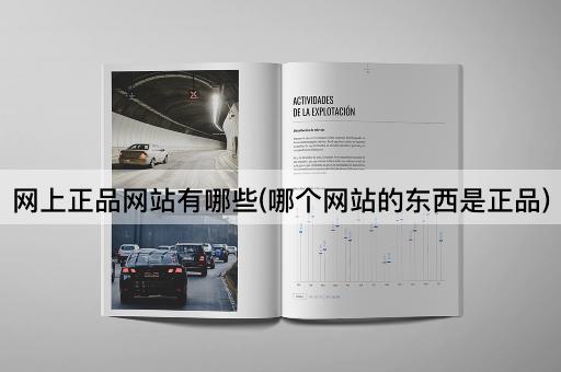 网上正品网站有哪些(哪个网站的东西是正品)