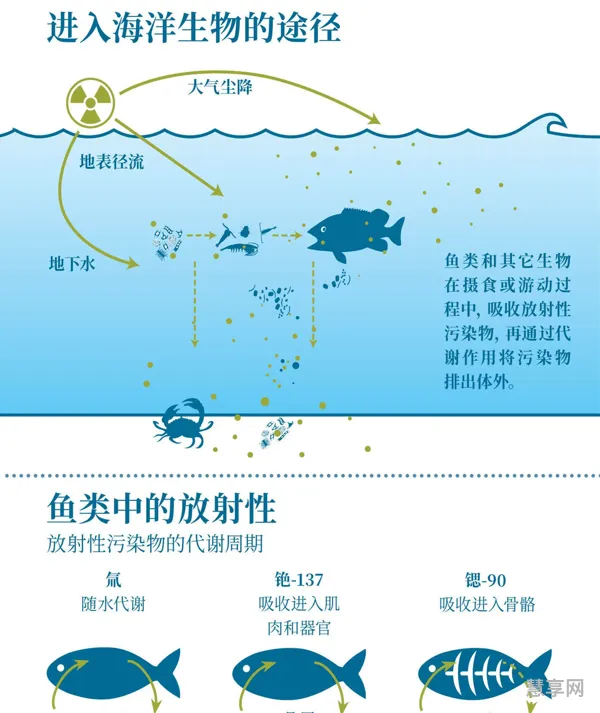 核废水有辐射吗(日本核变异人图片)