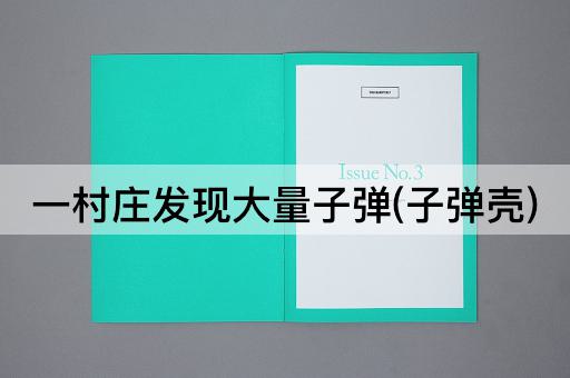 一村庄发现大量子弹(子弹壳)