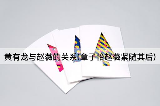 黄有龙与赵薇的关系(章子怡赵薇紧随其后)