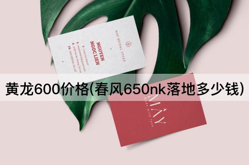 黄龙600价格(春风650nk落地多少钱)