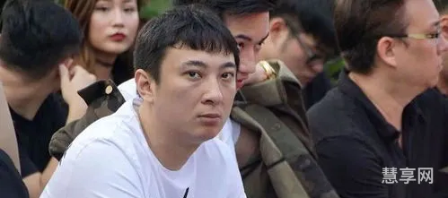 万达继承人王思聪(王健林5个子女照片大全)