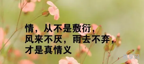 人生哲理的句子(短短一句,说透人生)