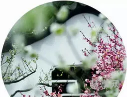 全面开荒打一成语(形容开荒的艰辛的成语)