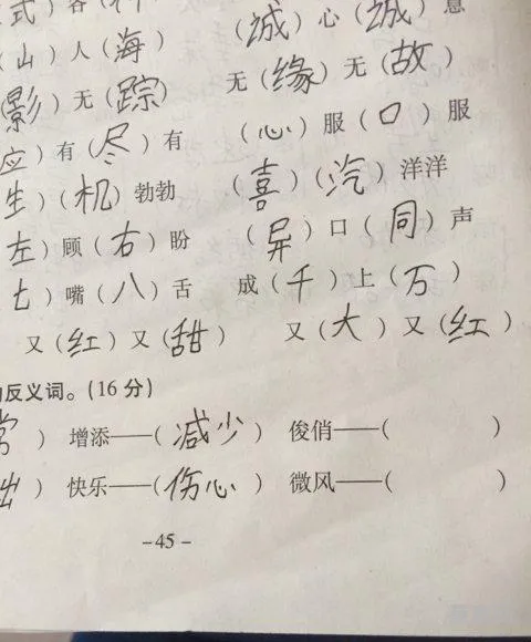 洁白的反义词是什么(洁白和乌黑是反义词吗)